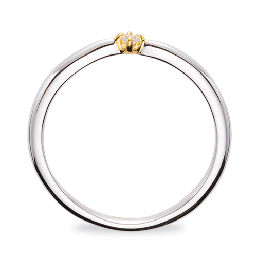 TOWR-06E-1386 & TOWR-07B-0217