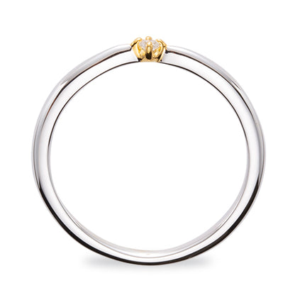 TOWR-06E-1386 & TOWR-07B-0217